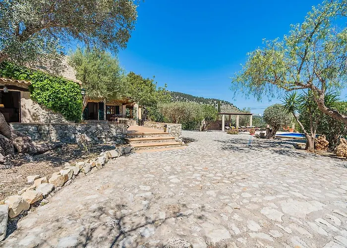 Noguera -pollensa * Pollenca